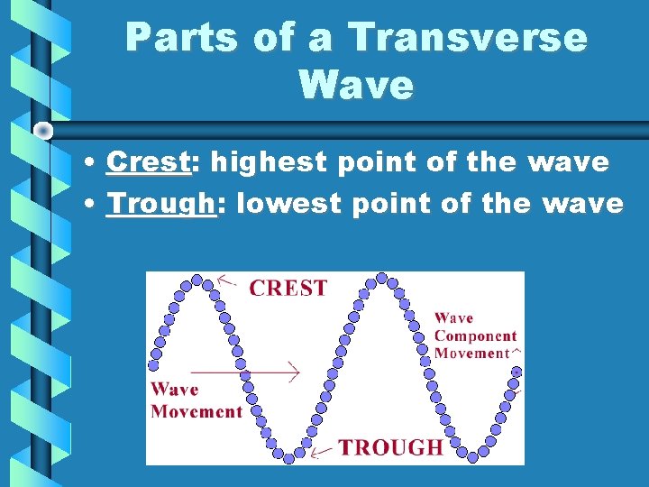Parts of a Transverse Wave • Crest: highest point of the wave • Trough: