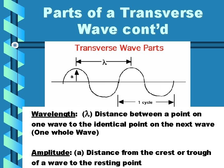 Parts of a Transverse Wave cont’d Wavelength: ( ) Distance between a point on