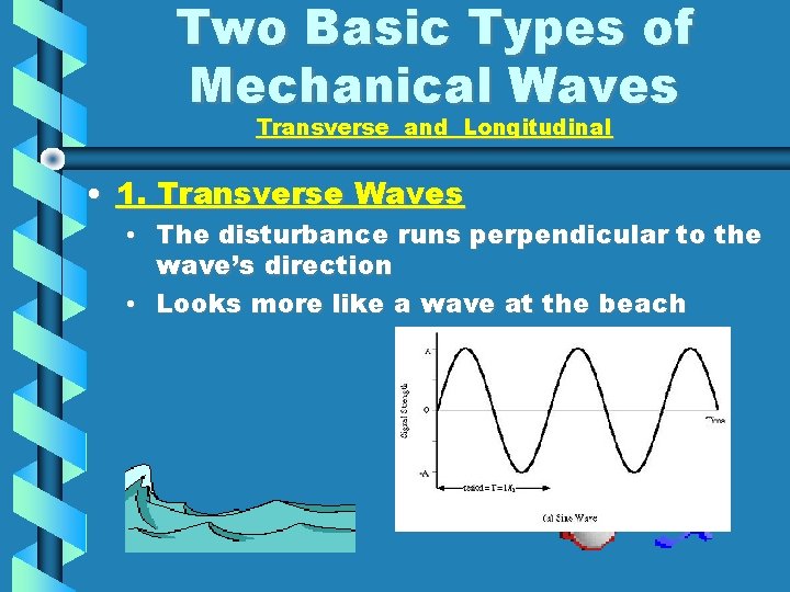 Two Basic Types of Mechanical Waves Transverse and Longitudinal • 1. Transverse Waves •