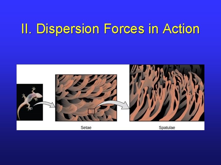 II. Dispersion Forces in Action 