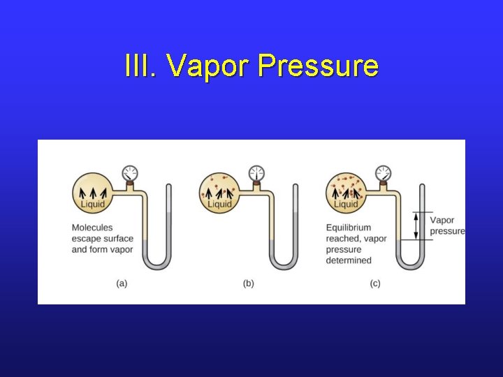 III. Vapor Pressure 