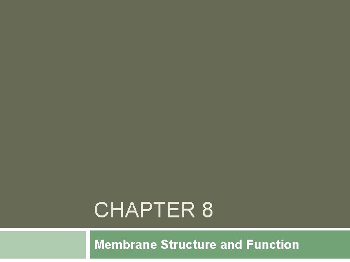 CHAPTER 8 Membrane Structure and Function 