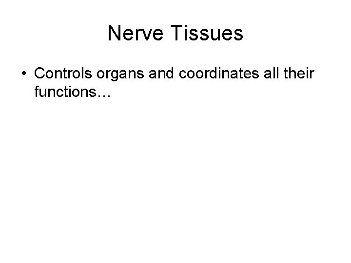 Nerve Tissues • Controls organs and coordinates all their functions… 