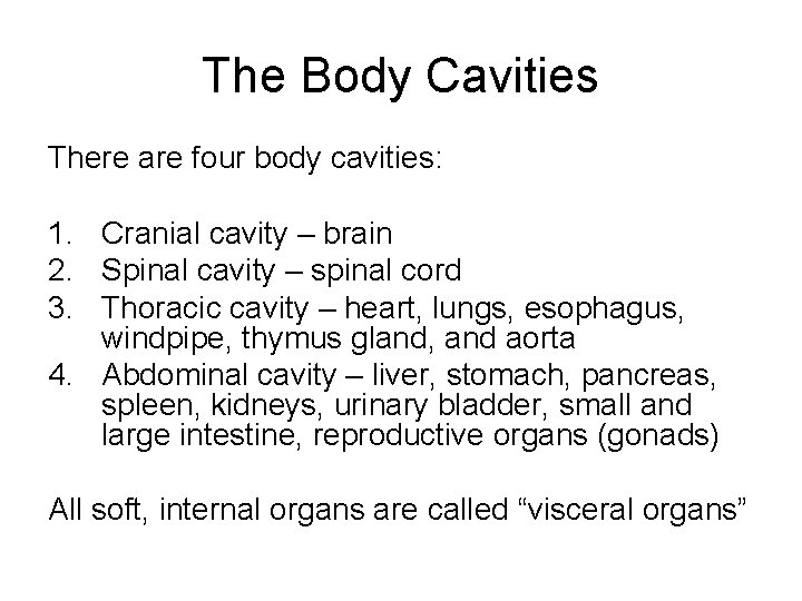 The Body Cavities There are four body cavities: 1. Cranial cavity – brain 2.