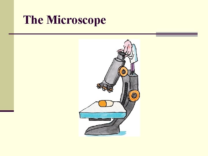 The Microscope 