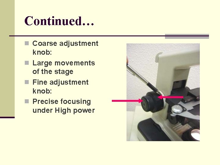 Continued… n Coarse adjustment knob: n Large movements of the stage n Fine adjustment