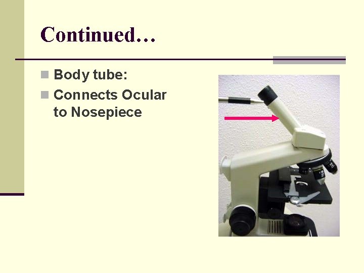 Continued… n Body tube: n Connects Ocular to Nosepiece 