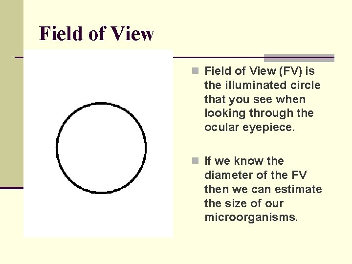 Field of View n Field of View (FV) is the illuminated circle that you