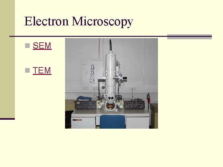 Electron Microscopy n SEM n TEM 