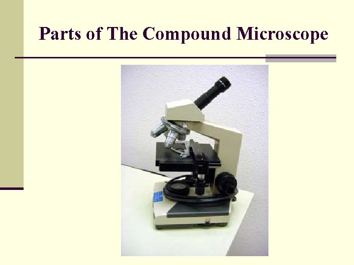 Parts of The Compound Microscope 