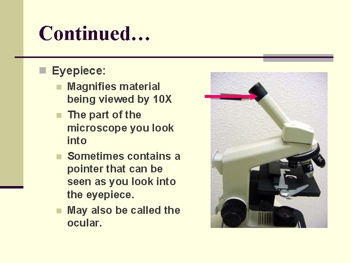 Continued… n Eyepiece: n Magnifies material being viewed by 10 X n The part