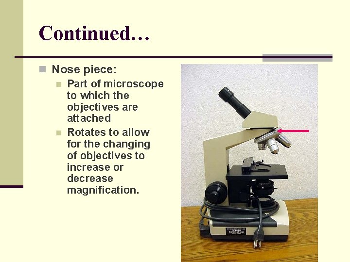 Continued… n Nose piece: n Part of microscope to which the objectives are attached