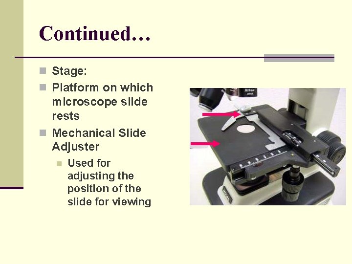 Continued… n Stage: n Platform on which microscope slide rests n Mechanical Slide Adjuster