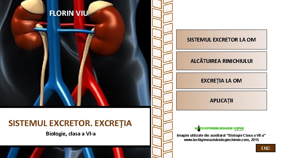 FLORIN VIU SISTEMUL EXCRETOR LA OM ALCĂTUIREA RINICHIULUI EXCREȚIA LA OM APLICAȚII SISTEMUL EXCRETOR.