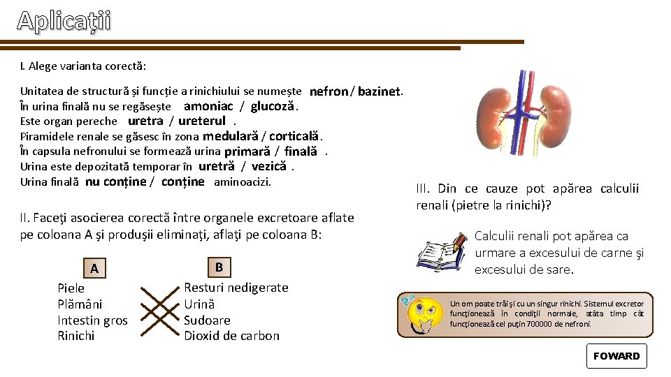 Aplicații I. Alege varianta corectă: Unitatea de structură și funcție a rinichiului se numește