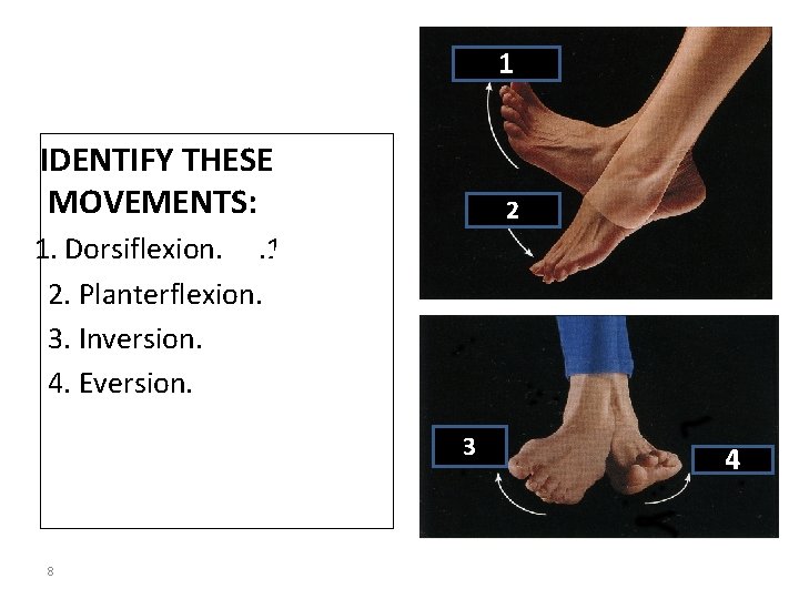 1 IDENTIFY THESE MOVEMENTS: 2 1. Dorsiflexion. . 1 2. Planterflexion. . 2 3.