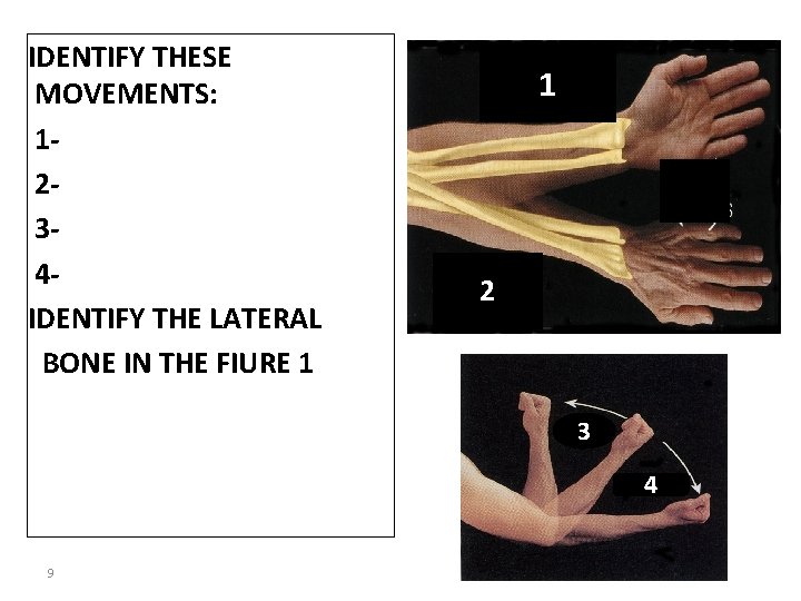 IDENTIFY THESE MOVEMENTS: 1234 IDENTIFY THE LATERAL BONE IN THE FIURE 1 1 2