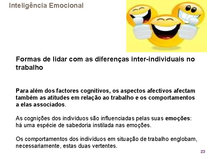 Inteligência Emocional Formas de lidar com as diferenças inter-individuais no trabalho Para além dos