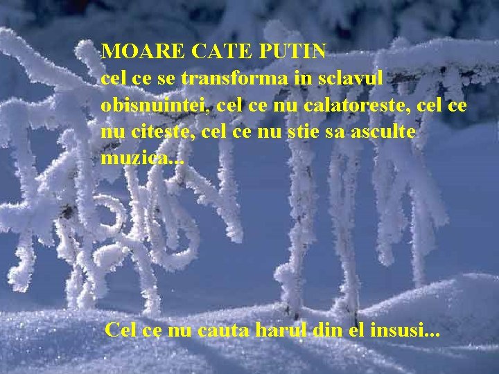 MOARE CATE PUTIN cel ce se transforma in sclavul obisnuintei, cel ce nu calatoreste, MOARE CATE PUTIN cel ce se transforma in sclavul obisnuintei, cel ce nu calatoreste,