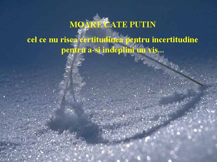 MOARE CATE PUTIN cel ce nu risca certitudinea pentru incertitudine pentru a-si indeplini un MOARE CATE PUTIN cel ce nu risca certitudinea pentru incertitudine pentru a-si indeplini un