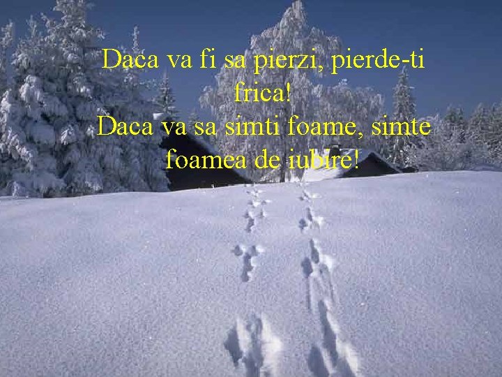 Daca va fi sa pierzi, pierde-ti frica! Daca va sa simti foame, simte foamea Daca va fi sa pierzi, pierde-ti frica! Daca va sa simti foame, simte foamea