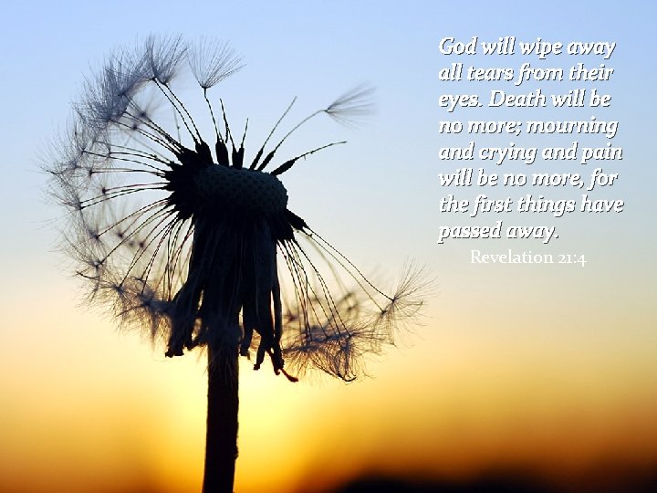 God will wipe away all tears from their eyes. Death will be no more;