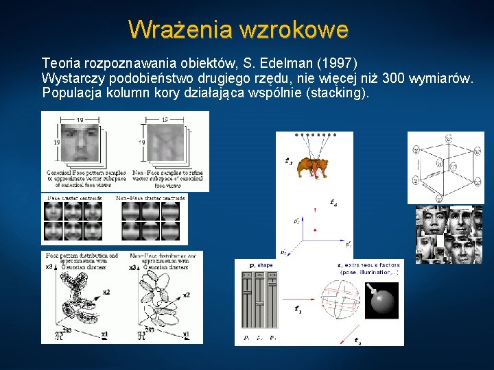 Wrażenia wzrokowe Teoria rozpoznawania obiektów, S. Edelman (1997) Wystarczy podobieństwo drugiego rzędu, nie więcej