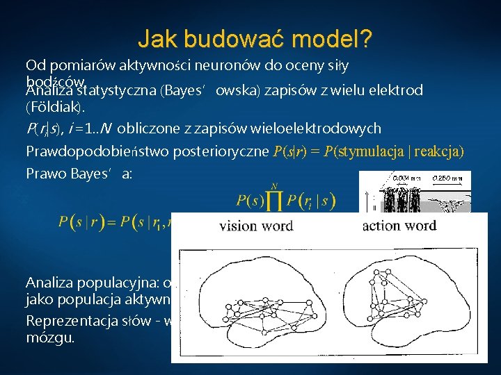 Jak budować model? Od pomiarów aktywności neuronów do oceny siły bodźców. Analiza statystyczna (Bayes’owska)