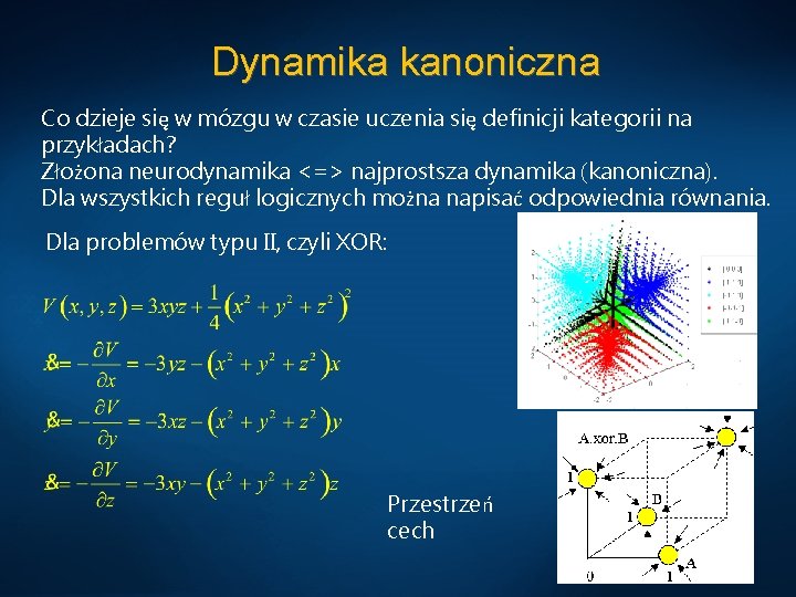 Dynamika kanoniczna Co dzieje się w mózgu w czasie uczenia się definicji kategorii na