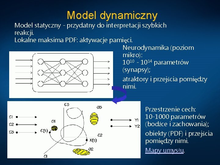 Model dynamiczny Model statyczny - przydatny do interpretacji szybkich reakcji. Lokalne maksima PDF: aktywacje
