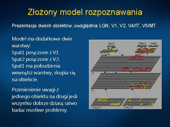 Złożony model rozpoznawania Prezentacja dwóch obiektów, uwzględnia LGN, V 1, V 2, V 4/IT,