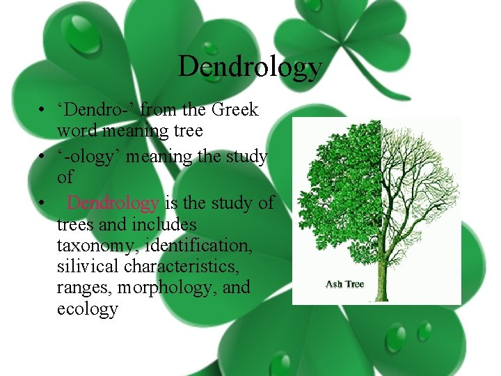 Dendrology • ‘Dendro-’ from the Greek word meaning tree • ‘-ology’ meaning the study