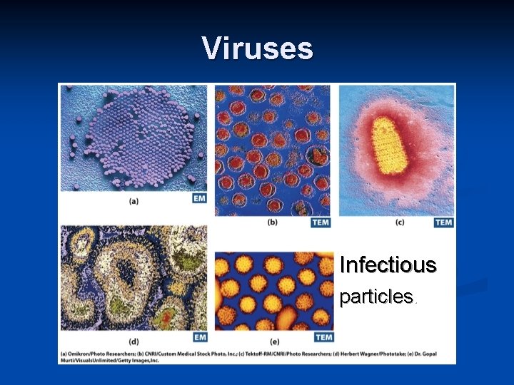 Viruses Infectious particles. 