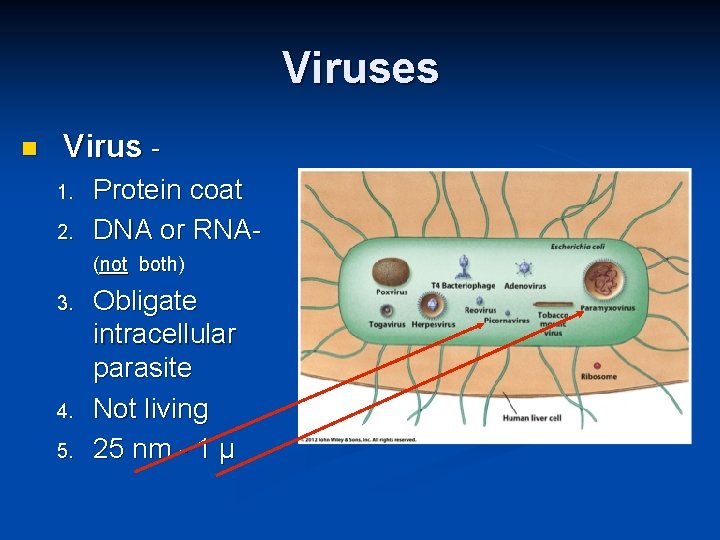 Viruses Virus 1. 2. Protein coat DNA or RNA(not both) 3. 4. 5. Obligate