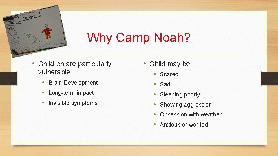 Why Camp Noah? • Children are particularly vulnerable • Brain Development • Long-term impact