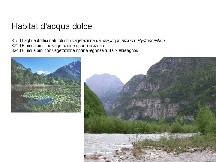 Habitat d’acqua dolce 3150 Laghi eutrofici naturali con vegetazione del Magnopotamion o Hydrocharition 3220