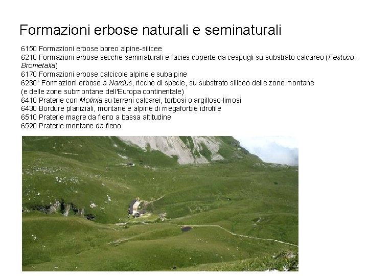 Formazioni erbose naturali e seminaturali 6150 Formazioni erbose boreo alpine-silicee 6210 Formazioni erbose secche