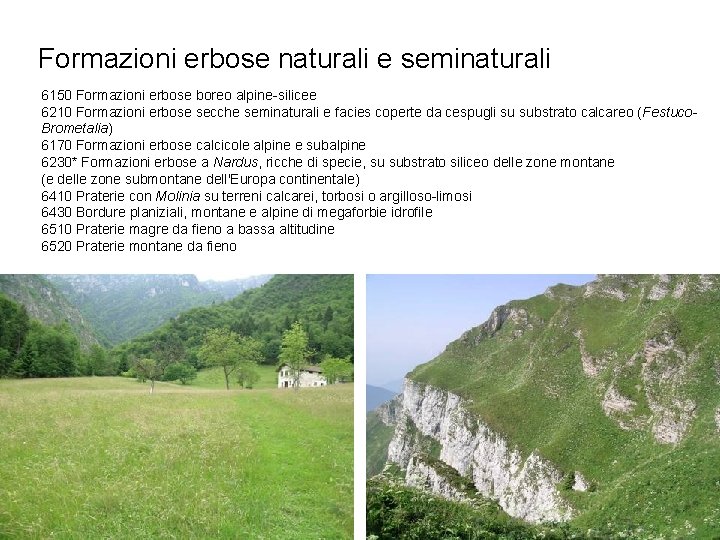 Formazioni erbose naturali e seminaturali 6150 Formazioni erbose boreo alpine-silicee 6210 Formazioni erbose secche