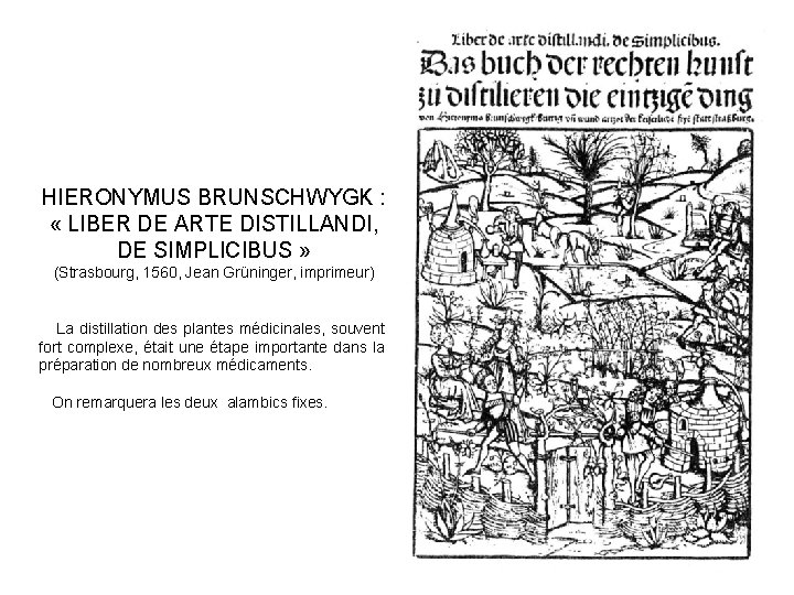 HIERONYMUS BRUNSCHWYGK : « LIBER DE ARTE DISTILLANDI, DE SIMPLICIBUS » (Strasbourg, 1560, Jean