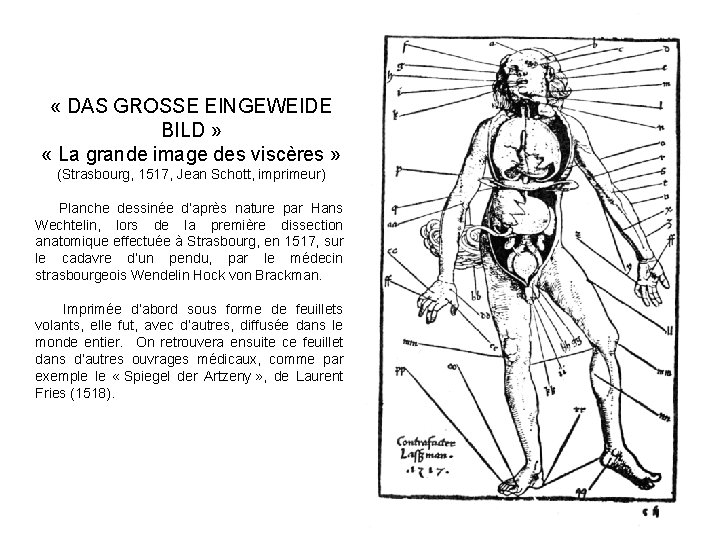  « DAS GROSSE EINGEWEIDE BILD » « La grande image des viscères »