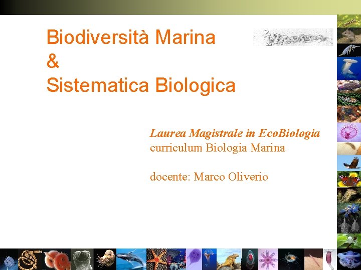 Biodiversità Marina & Sistematica Biologica Laurea Magistrale in Eco. Biologia curriculum Biologia Marina docente: