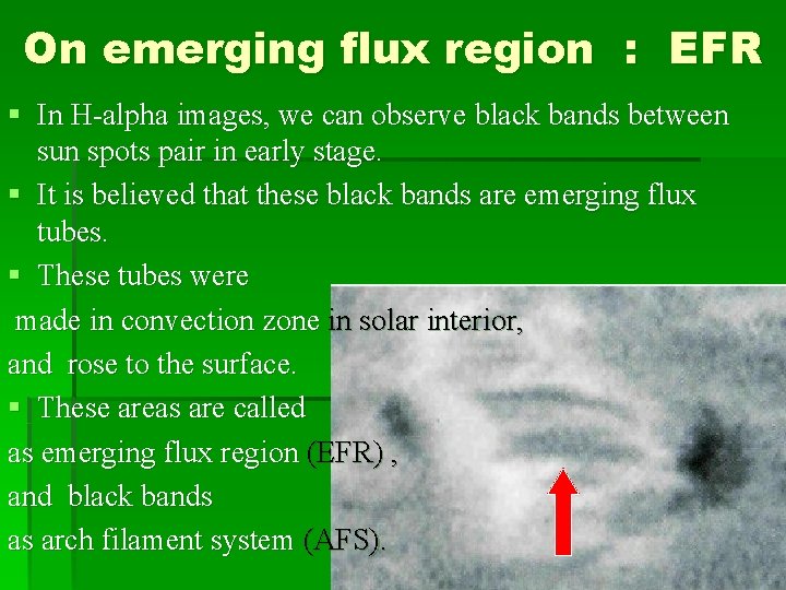 On emerging flux region : EFR § In H-alpha images, we can observe black