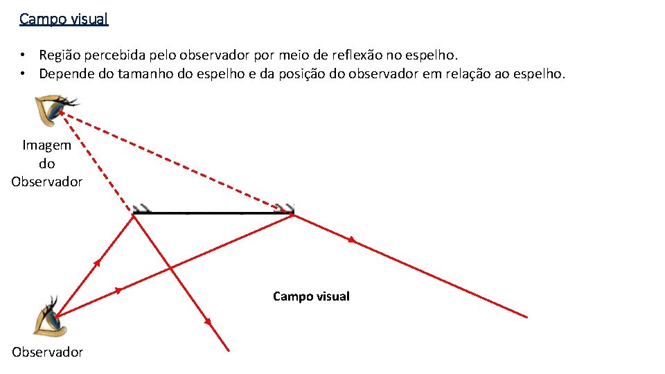 Campo visual • Região percebida pelo observador por meio de reflexão no espelho. •