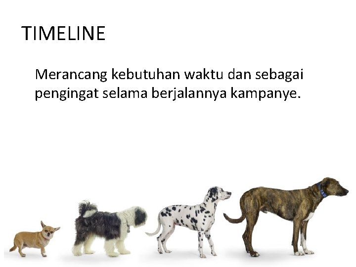 TIMELINE Merancang kebutuhan waktu dan sebagai pengingat selama berjalannya kampanye. 