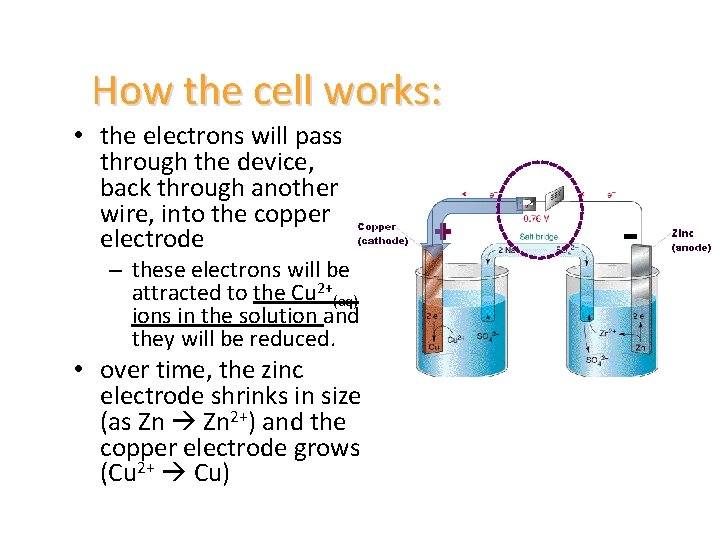 How the cell works: • the electrons will pass through the device, back through