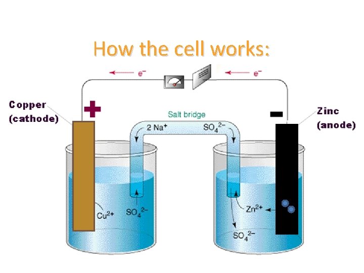 How the cell works: 