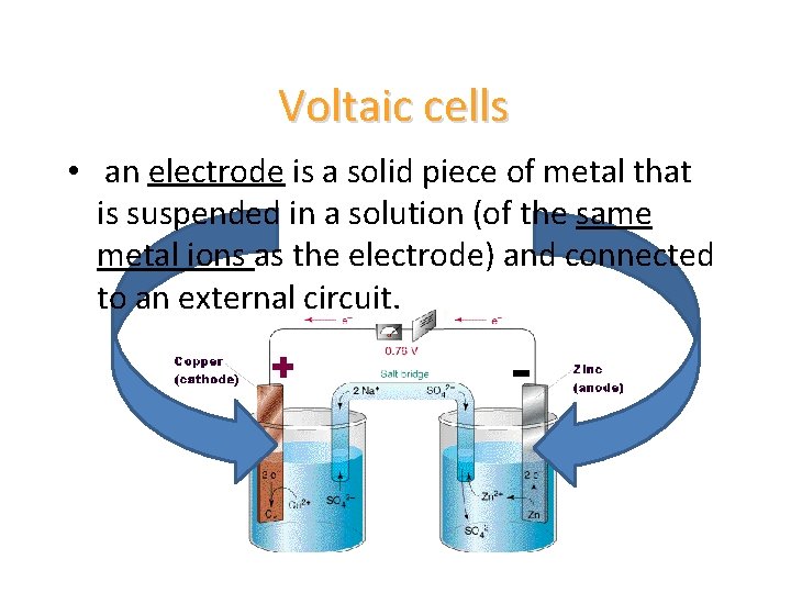 Voltaic cells • an electrode is a solid piece of metal that is suspended