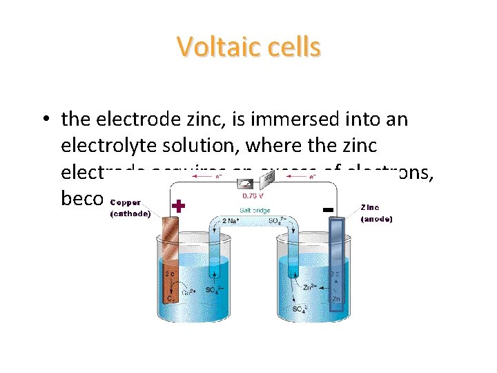 Voltaic cells • the electrode zinc, is immersed into an electrolyte solution, where the