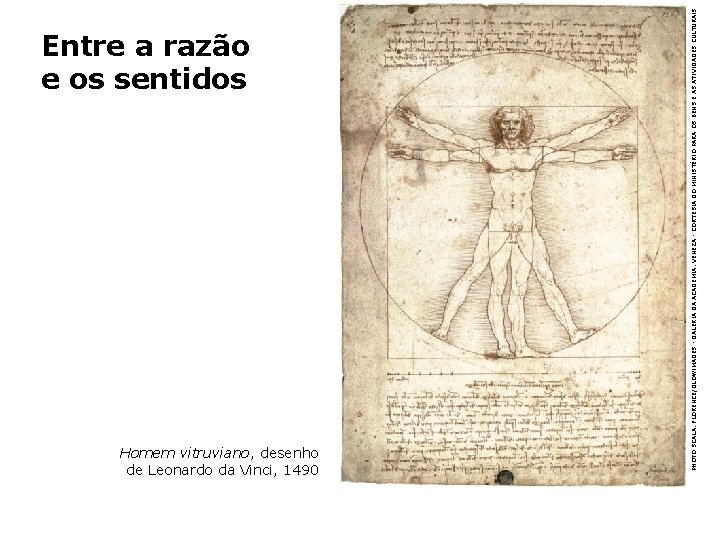 Homem vitruviano, desenho de Leonardo da Vinci, 1490 PHOTO SCALA, FLORENCE/GLOWIMAGES - GALERIA DA