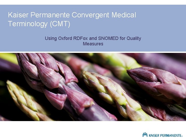 Kaiser Permanente Convergent Medical Terminology (CMT) Using Oxford RDFox and SNOMED for Quality Measures